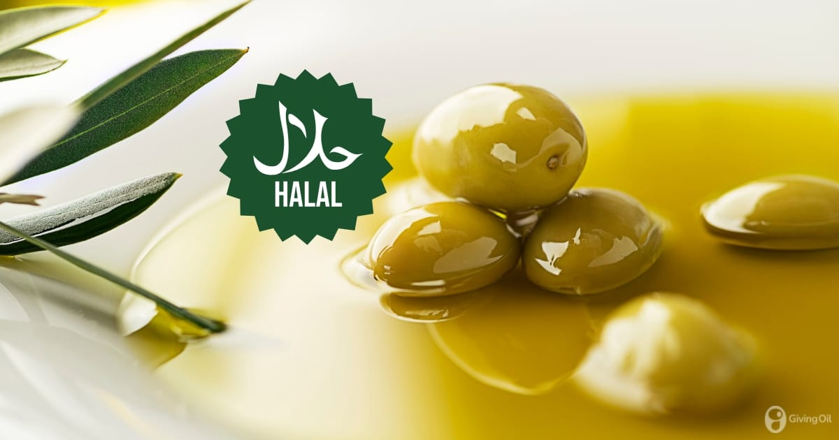 Is Olive Oil Halal? All you need to know