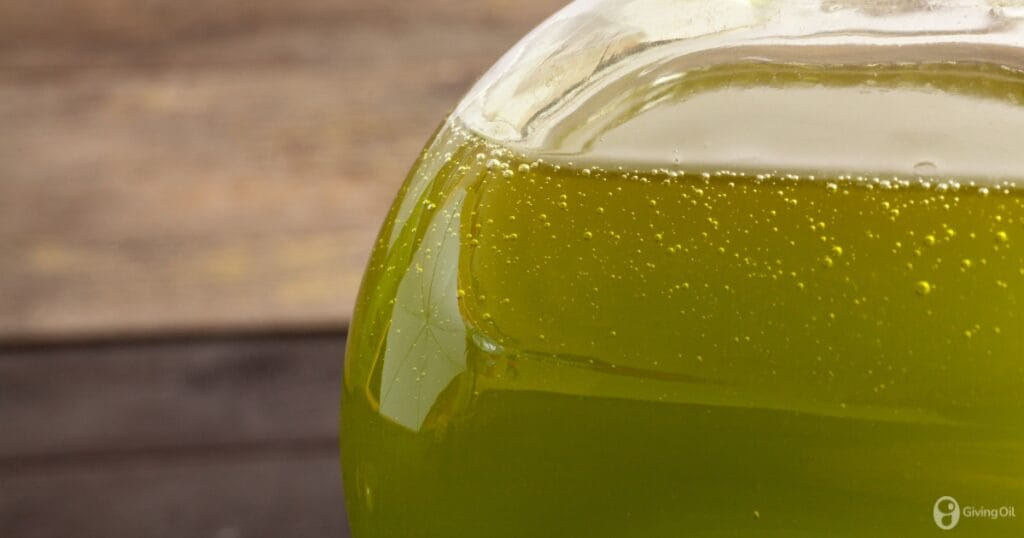 Why does olive oil solidify at low temperatures?