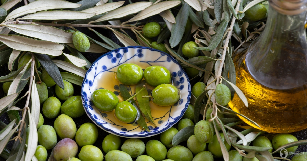 The best uses for each olive oil variety – Explained simply and clearly