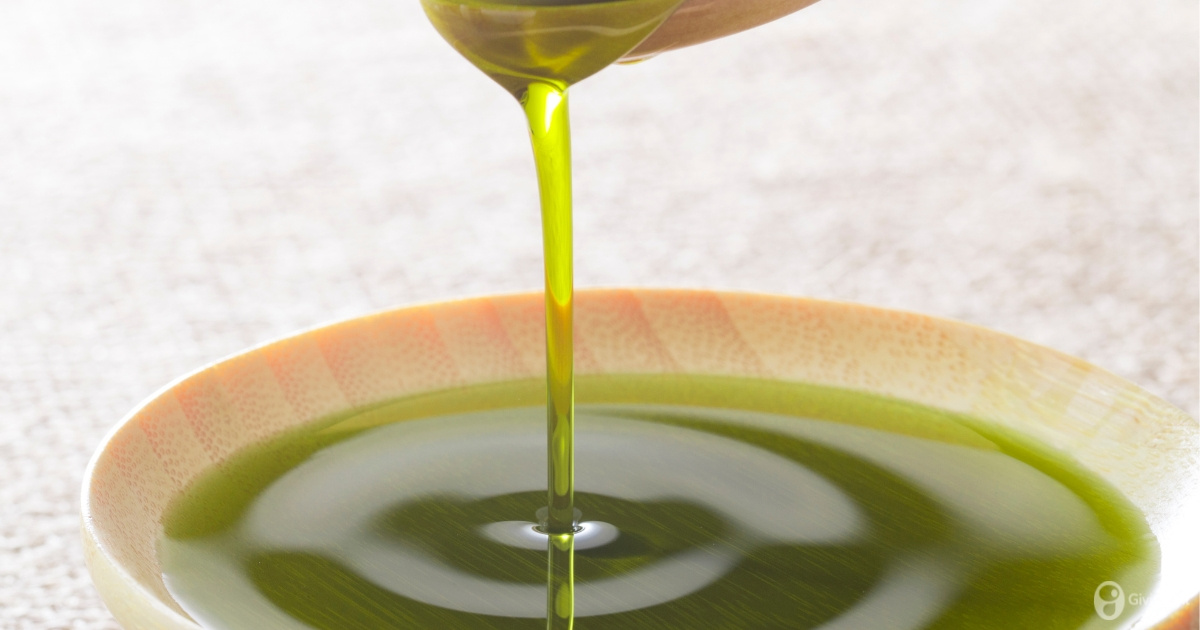 What determines the color of Olive Oil?