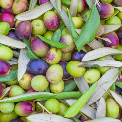 What Is Coupage Olive Oil? The art of blending​