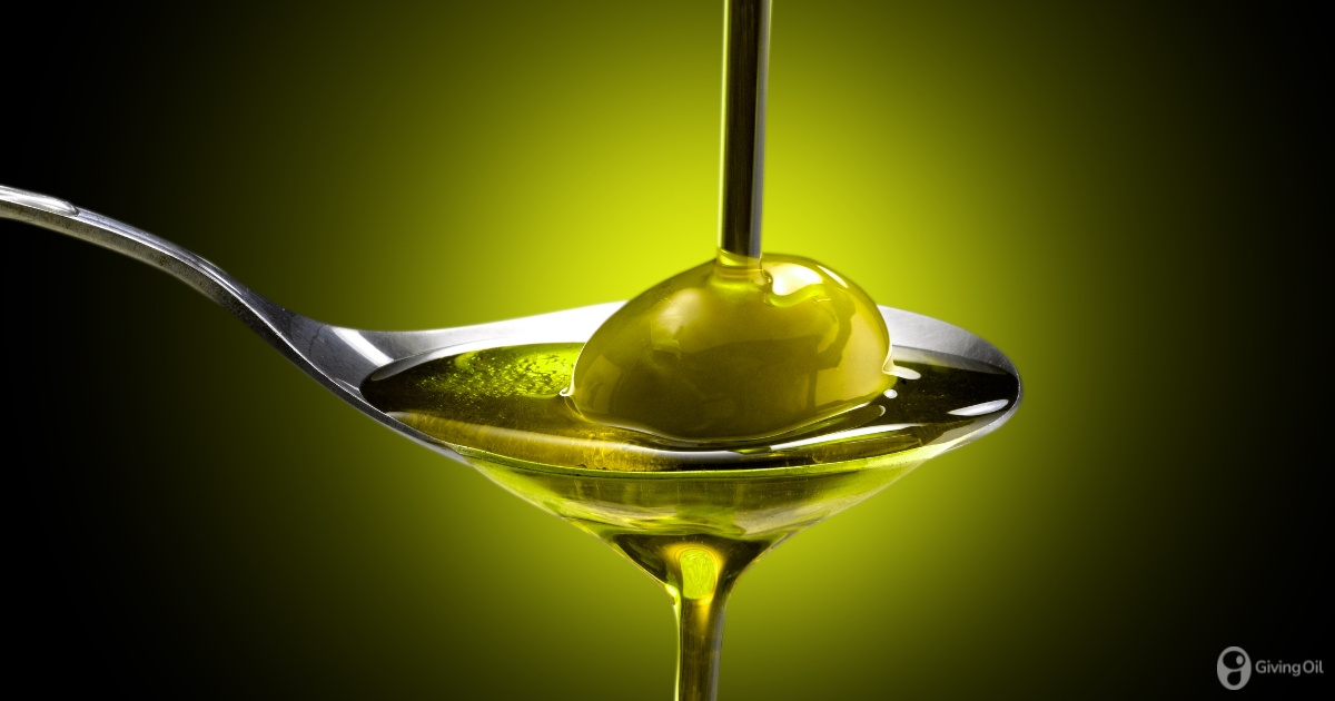 What is Early Harvest Olive Oil and how is It different from Extra Virgin Olive Oil?