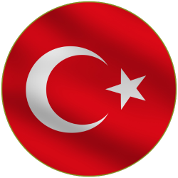 Olive Oils from Türkiye