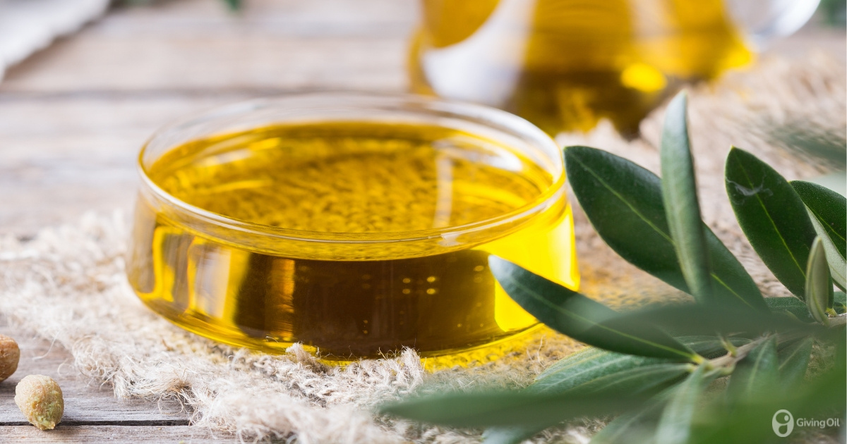 Polyphenol in Olive Oil: What it Is, health benefits, and how to identify it